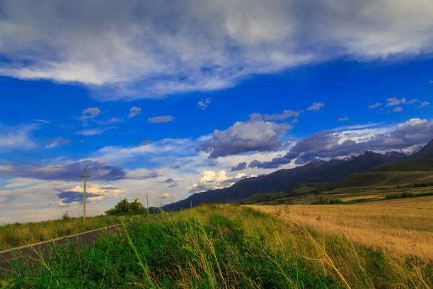 Beautiful spring and summer landscape. Lush green hills, high snowy mountains. Spring blooming herbs.