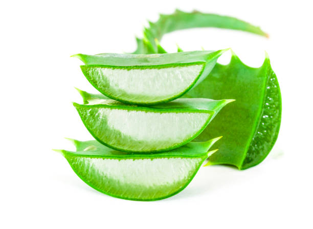 istock Aloe vera isolated on white background 1257376035