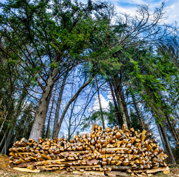 close up of a heap of firewood