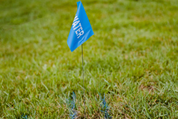 青い測量者のステークと旗がスポットを示す - survey marker ストックフォトと画像