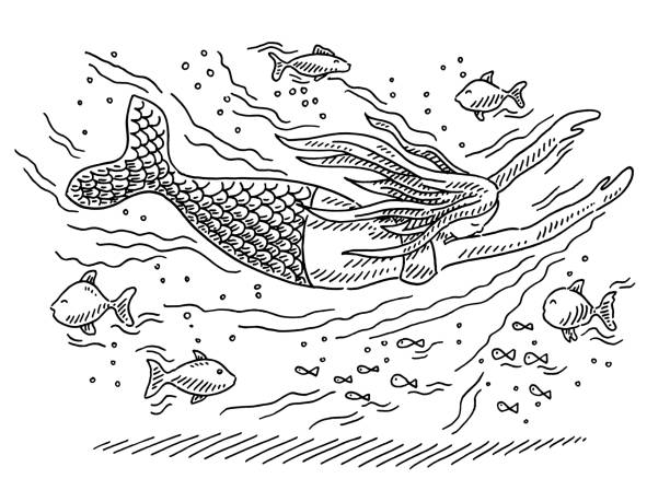 ilustrações, clipart, desenhos animados e ícones de peixes subaquáticos e desenho de sereias - black and white people imagination underwater