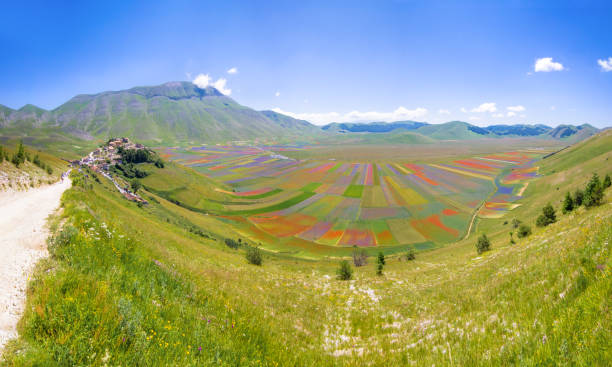 castelluccio di norcia (umbria, italy) - apennines beauty in nature grass plateau foto e immagini stock