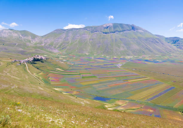 castelluccio di norcia (umbria, italy) - apennines beauty in nature grass plateau foto e immagini stock