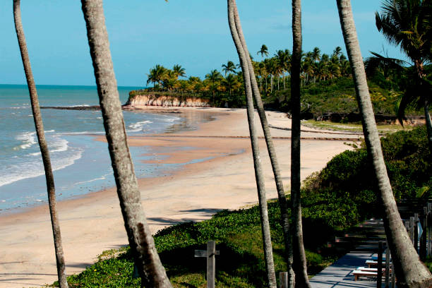 istock corumbal beach in south bahia 1257386222