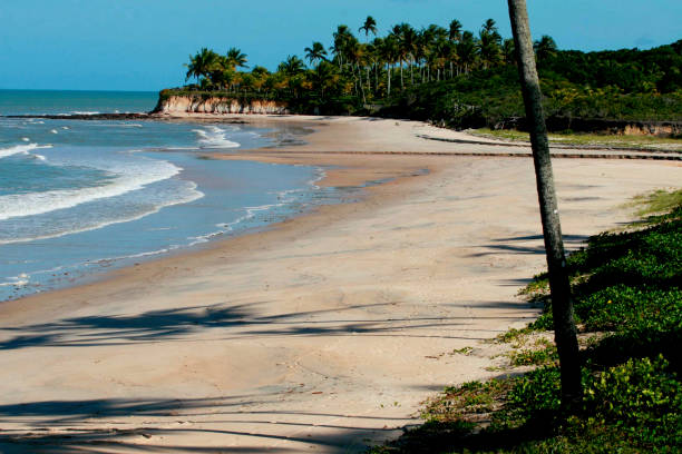 istock corumbal beach in south bahia 1257386224