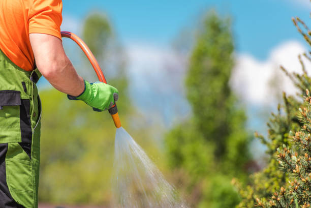 istock Caucasian Men Watering Garden Plants 1257386436
