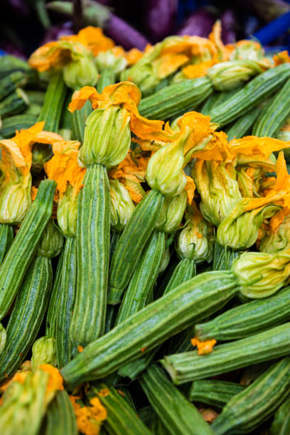 zucchini und blumenhintergrund - squash flower stock-fotos und bilder
