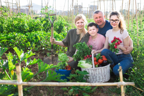 istock Family posing in garden with picked vegetables 1257389249