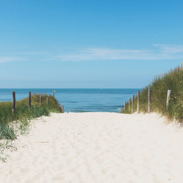 istock Path through the dunes to the beach during a beautiful summer day 1257390539