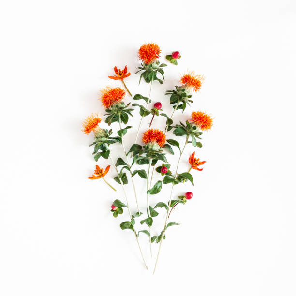 istock Autumn composition. Orange flowers on white background. Autumn, fall concept. Flat lay, top view 1257390544