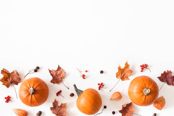 istock Autumn composition. Pumpkins, dried leaves on white background. Autumn, fall, halloween concept. Flat lay, top view 1257390559