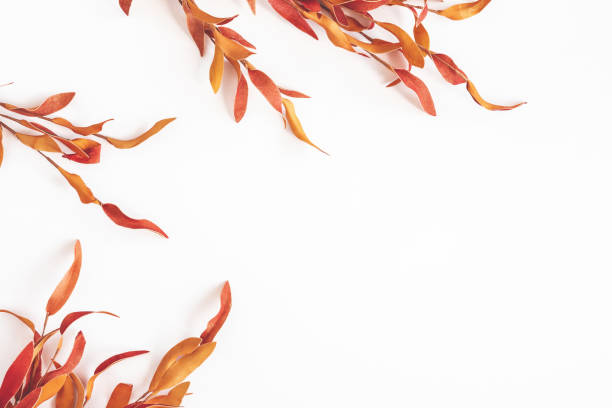 istock Autumn composition. Red leaves on white background. Autumn, fall, thanksgiving day concept. Flat lay, top view 1257390574
