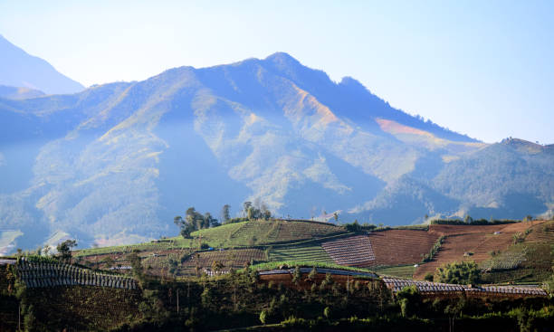 istock Mount Prau, mountain in Indonesia 1257391084