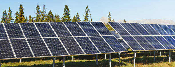 istock Solar panel collectors in forest, coniferous trees and mountains background, clear sky above, closeup detail 1257391698