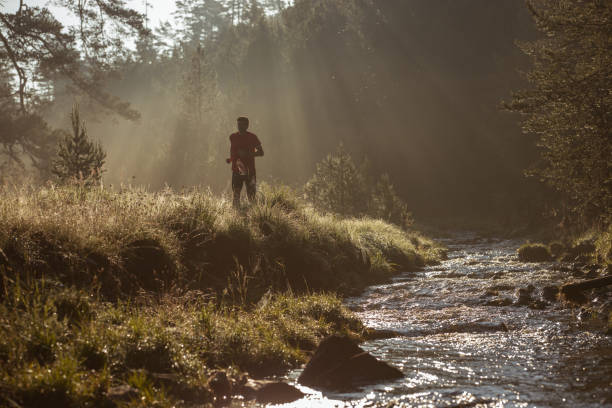 istock Morning jogging in a field 1257391760