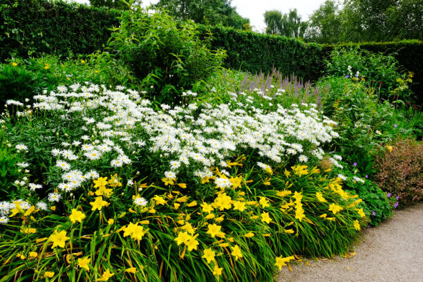 istock English Summer Garden 1257392132