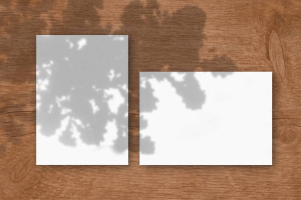 istock 2 sheets of white textured paper against a wooden table background. Mockup overlay with the plant shadows. Natural light casts shadows from the oak leaves. Flat lay, top view. Horizontal orientation 1257393851