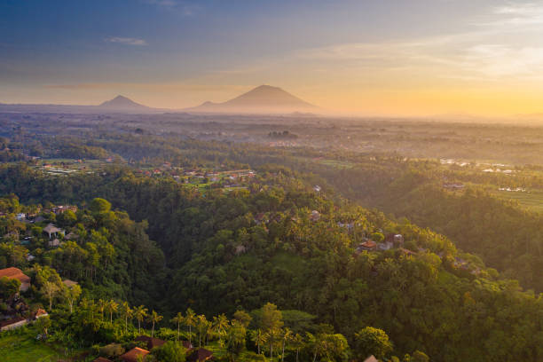 istock Sunrise over rice fields in Ubud, Bali. Aerial drone shot. 1257393868