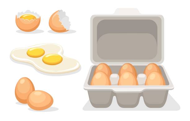 illustrazioni stock, clip art, cartoni animati e icone di tendenza di uova di gallina rotte catroon - catroon