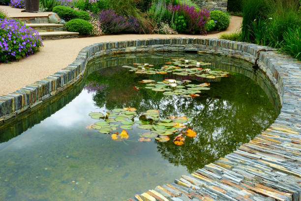 istock Large Ornamental Garden Pond 1257401559
