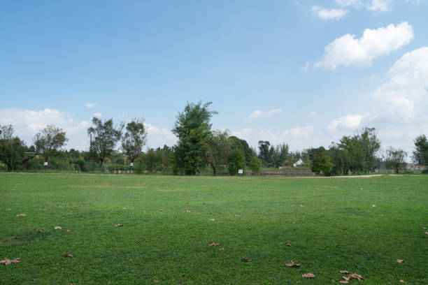 istock Green lawn on a sunny day. 1257404698