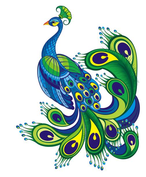 공작. 새 기호. - peacock backgrounds animal bird stock illustrations