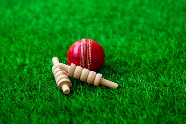 istock cricket ball and bails on green grass pitch 1257405474