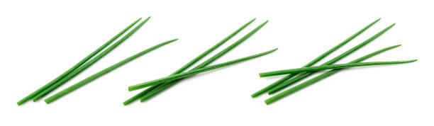 istock Chives isolated. Young green onion. Collection. Flat lay. Top view. 1257408554