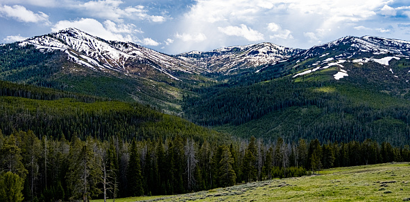 Snow covered Rocky Mountains with pine trees and meadow in Yellowstone National Park.