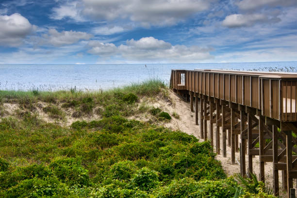 promenade sur la plage fernandina - pier water tropical climate seascape photos et images de collection