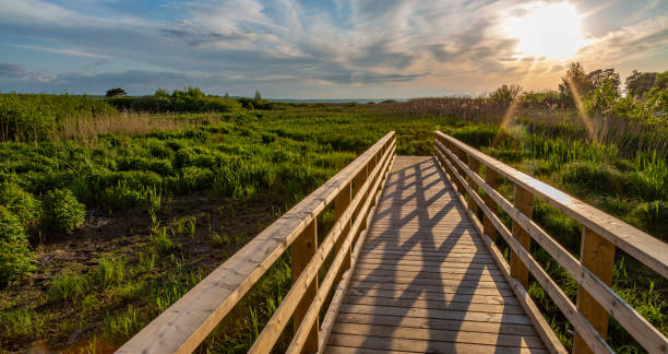 istock Wooden Bridge on the Baltic Coast 1257416118