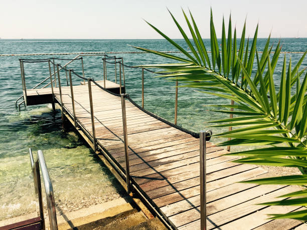 istock jetty with palm in italy 1257416211