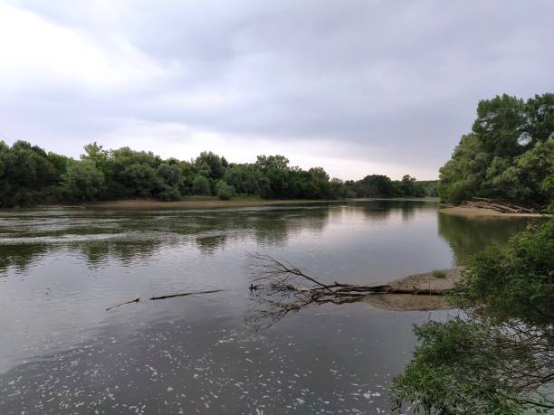 istock Wide forest river against the background of sky and clouds 1257417352