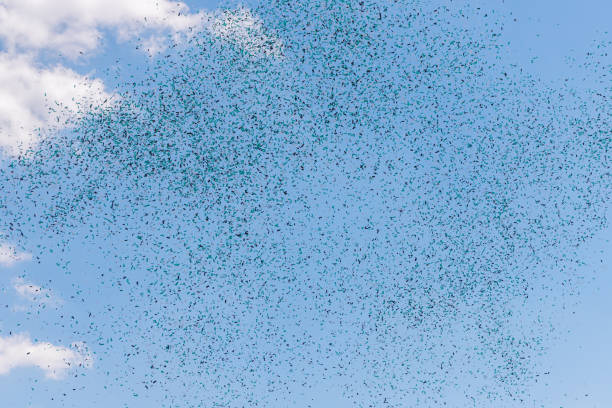 istock confetti green white in the sky 1257420634