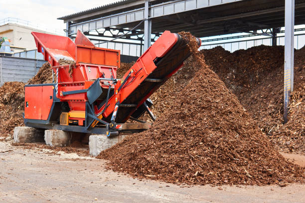 trucioli industriali per la produzione di trucioli di legno - silviculture foto e immagini stock