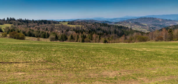 View from Vrchrieka hill in Javorniky mountains in Slovakia View from Vrchrieka hill in Javorniky mountains in Slovakia during beautiful springtime day with clear sky moravian silesian beskids photos stock pictures, royalty-free photos & images