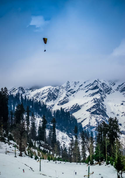 a landscape involving snow capped valley with pine trees and mountains. paragliding going on - beautiful blue sport vertical imagens e fotografias de stock