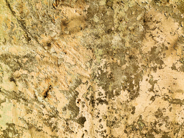 istock Abstract concrete, weathered with cracks and scratches. Landscape style. Grungy Concrete Surface. Great background or texture. 1257425610