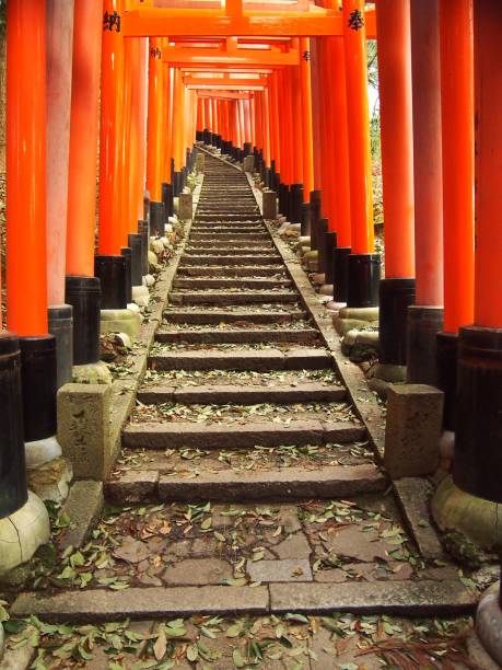 Torri gate path The steps up Kyoto's Fushimi Inari grounds on April 2014 torri gate stock pictures, royalty-free photos & images