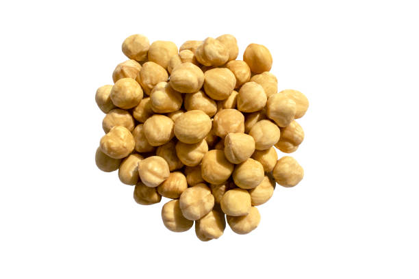 Hazelnut nuts isolated on white background. stock photo
