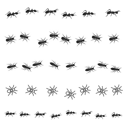 Ants walking icon set