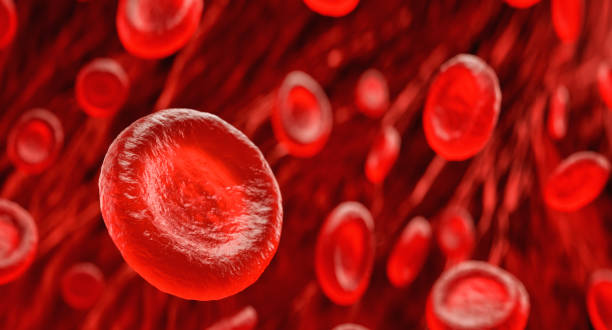 glóbulos - flujo sanguíneo fotografías e imágenes de stock