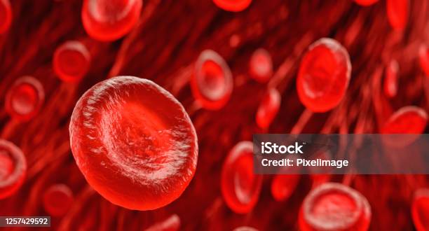Blood Cells Stock Photo - Download Image Now - Blood, Blood Cell, Red Blood Cell