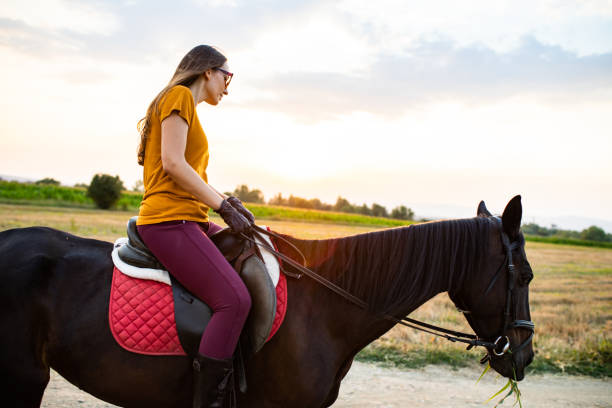istock A young woman sitting on a horse's back while its grazing 1257430865