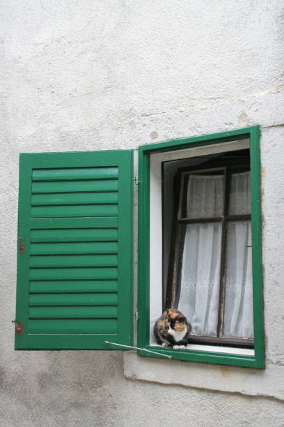 istock Typical Croatian window with a cat on the windowsill. 1257436067