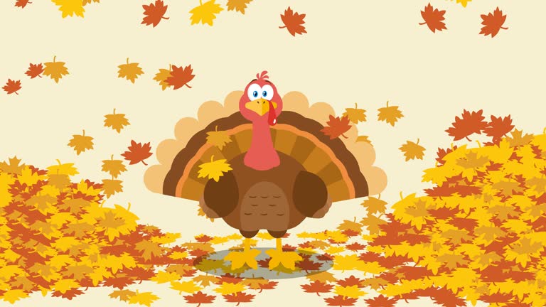 Funny Thanksgiving Stock Videos and Royalty-Free Footage - iStock Funny Thanksgiving Stock Videos and Royalty-Free Footage - iStock