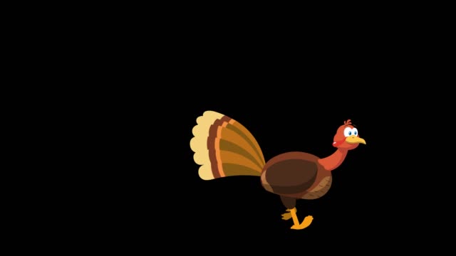 22,431 Turkey Bird Stock Videos and Royalty-Free Footage - iStock | Turkey  bird illustration, Turkey bird white background, Frozen turkey bird