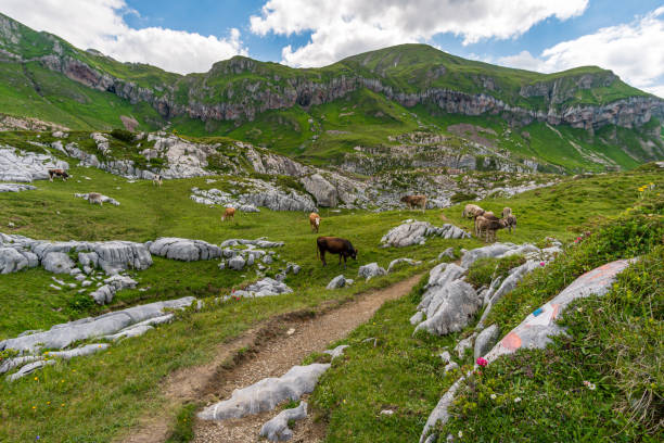 istock Fantastic hike in the Lechquellen Mountains in Vorarlberg Austria 1257437057