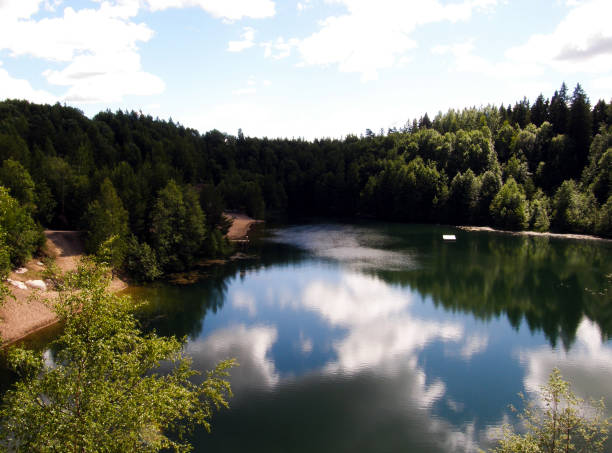 istock Beach In middle of the forest 1257437217