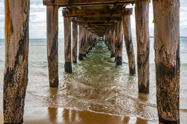 istock Trestle at Point Lonsdale Jetty,  Victoria, Australia 1257437444